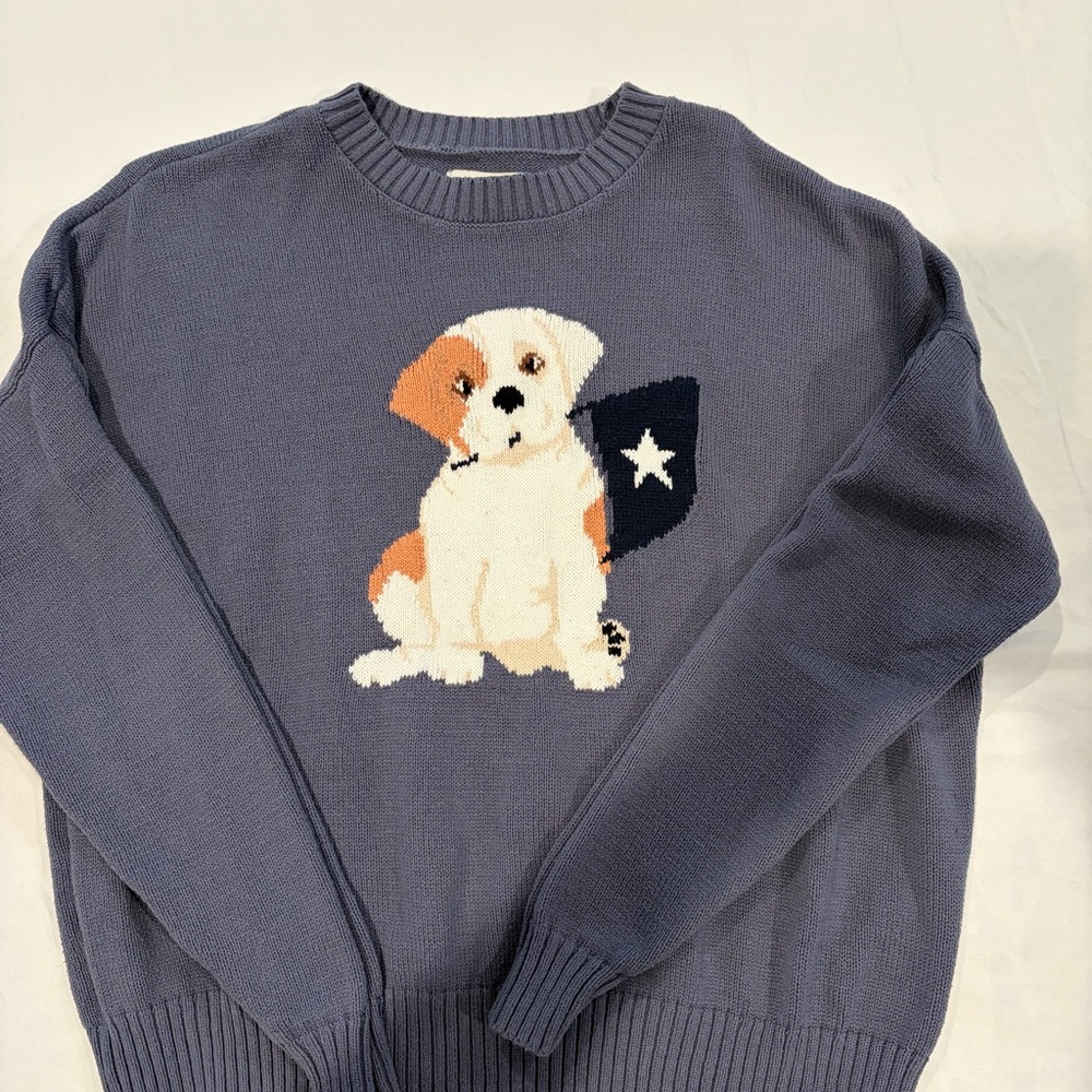 Hollister Navy Knit Sweater